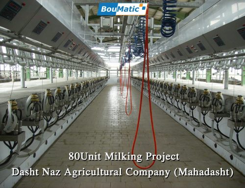 80-Unit Milking Project of Dasht Naz Agricultural Company (Mahdasht)