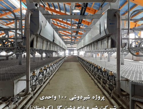 پروژه شیردوشی 100 واحدی  شرکت شیر و دام دشت گل (کردستان)